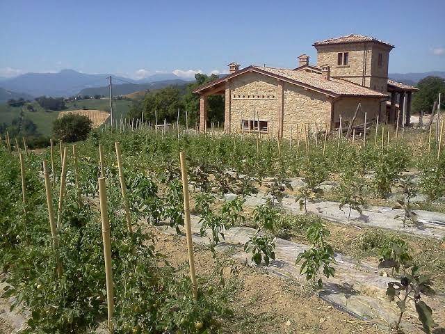 Agriturismo il filare