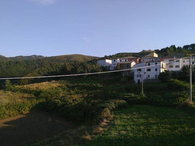 B&b orso stanco