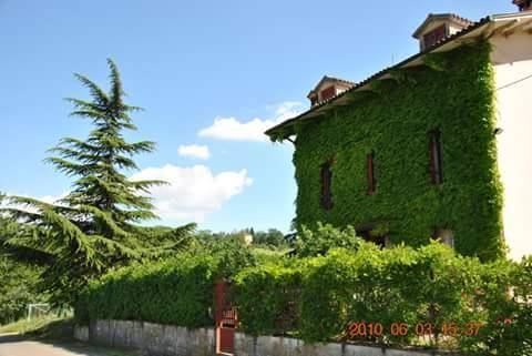 B&b la vecchia quercia