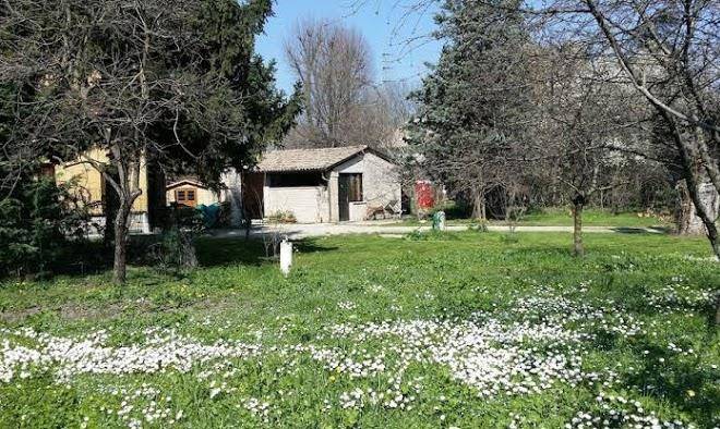 B&b l'albero cavo