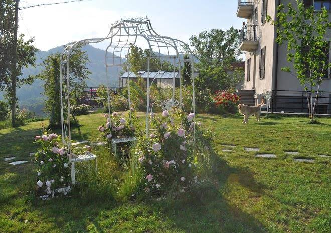 Rose E Cioccolato Image