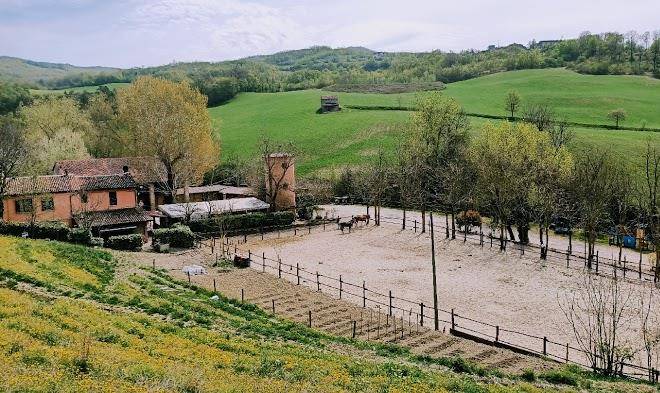 Agriranch la betla