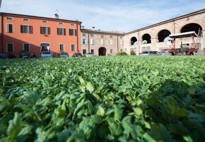 Agriturismo arte contadina