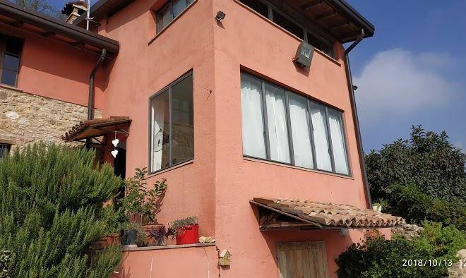 B&b la cinghialina