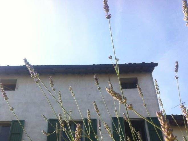 Adagio b&b