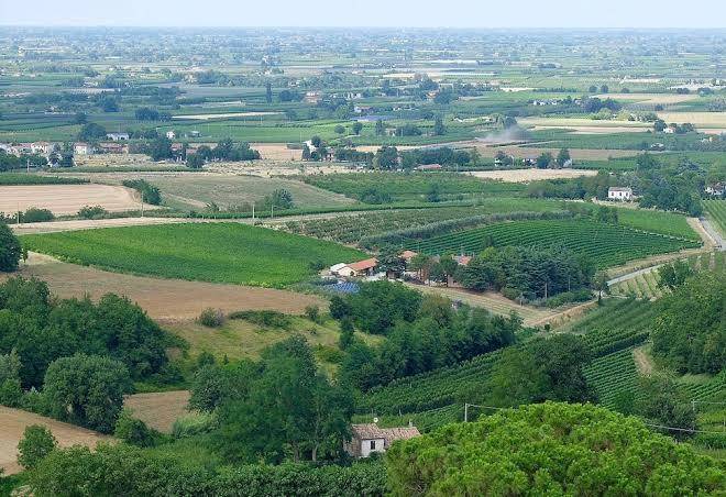 La sabbiona agriturismo e cantina