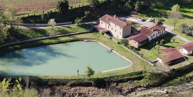 Scarpelli pratesi novina