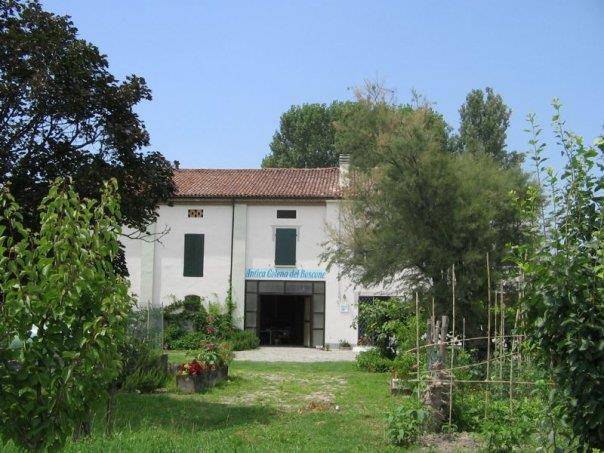 Agriturismo antica golena le terre della contessa