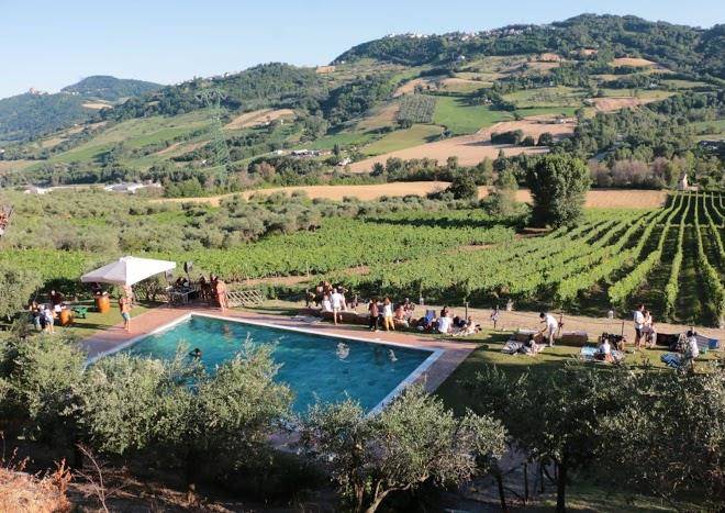 Cantina fiammetta