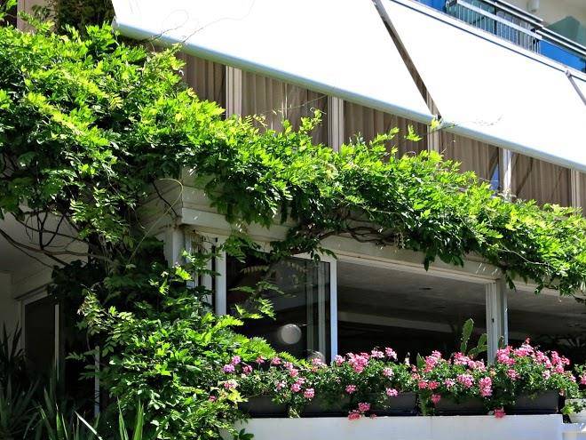 Hotel mauritius