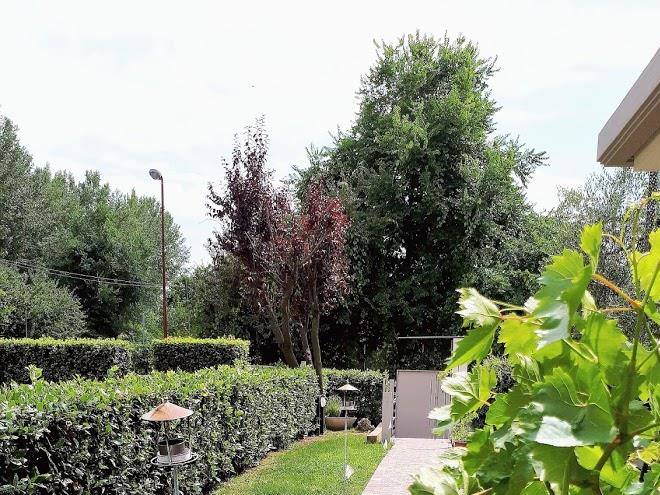 Paesaggi d'interni art b&b