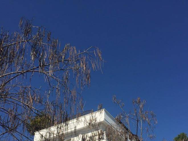 Residence veliero riccione