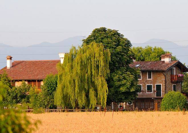 Azienda agricola magnas