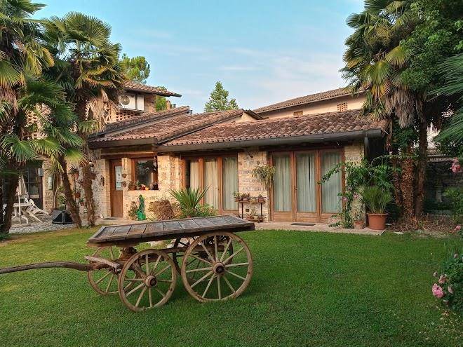 Rovere dalla riva