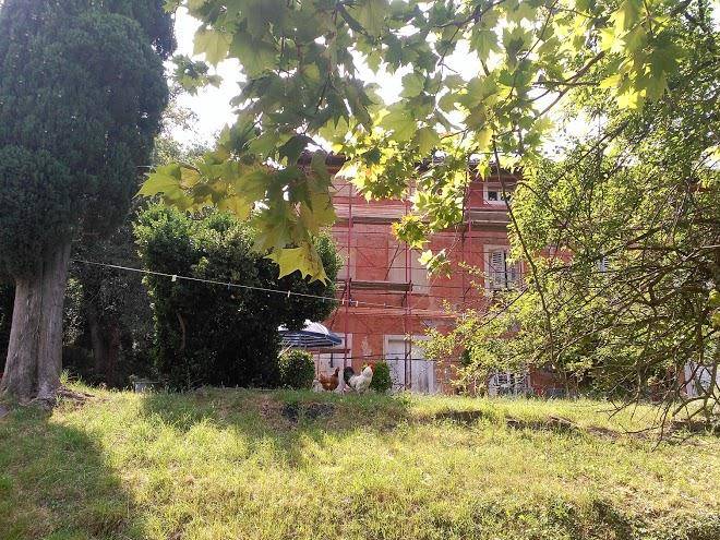 Alloggio agrituristico bosco fiorito