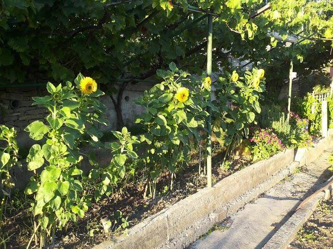 B&b al ciclamino