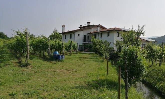 Agriturismo azienda agricola scribano