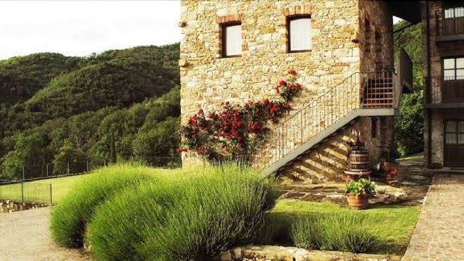 Agriturismo l'uva e le stelle