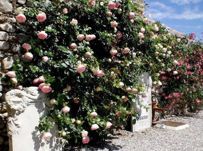 B&b portaferrea