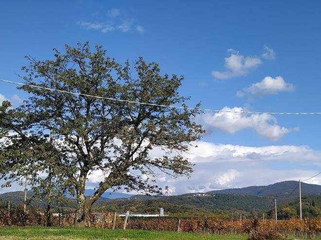 Borgo dei sapori agriturismo e vino biologico