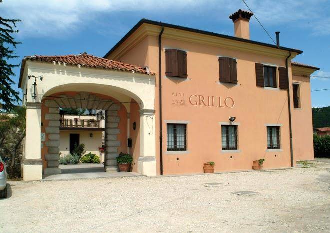 Grillo iole