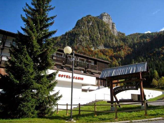 Hotel canin