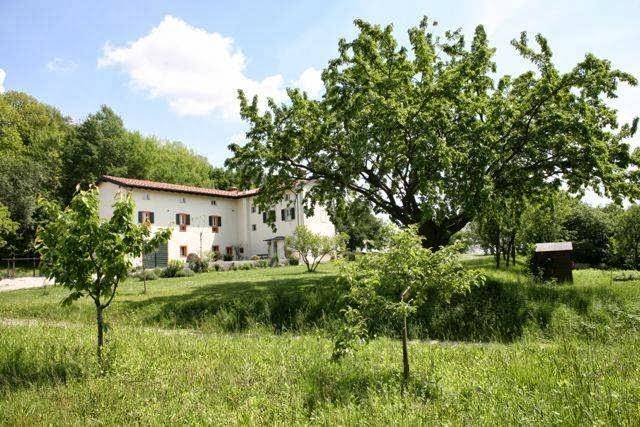 La collina delle mignole alloggio agrituristico