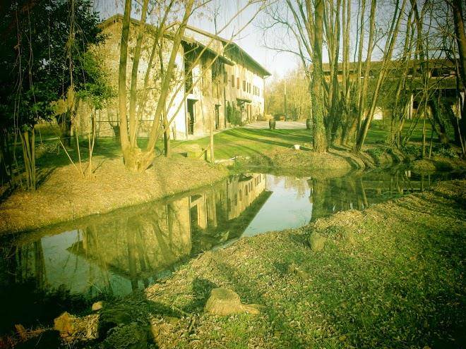 La regina del bosco