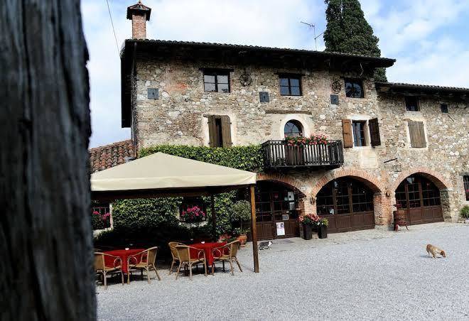 Mont'albano agricola viticoltori biologici dal 1985