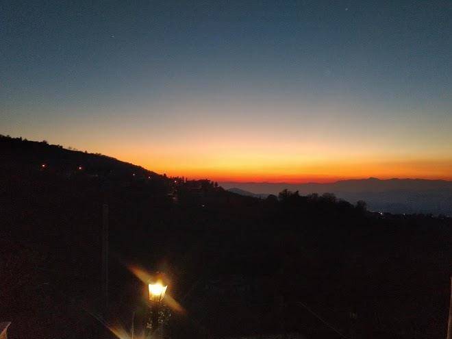 Il becco felice