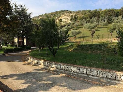 Tenuta del daino