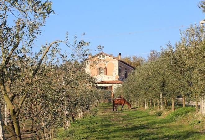 Agriturismo la fattoria pony ranch