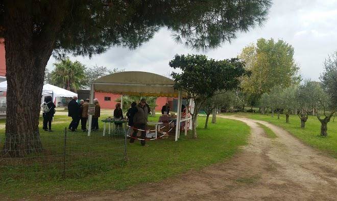 Azienda agricola tre confini di errera rosa lucia