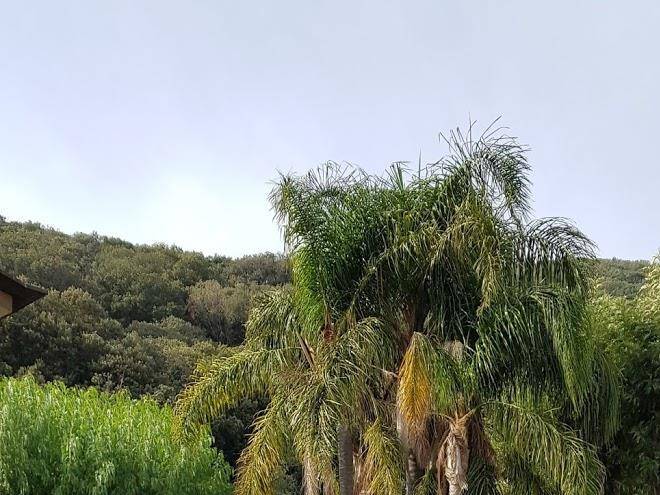 B&b cavalieri