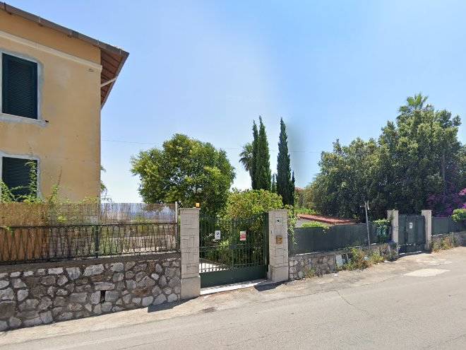 Le Ortensie Di Teresa Image