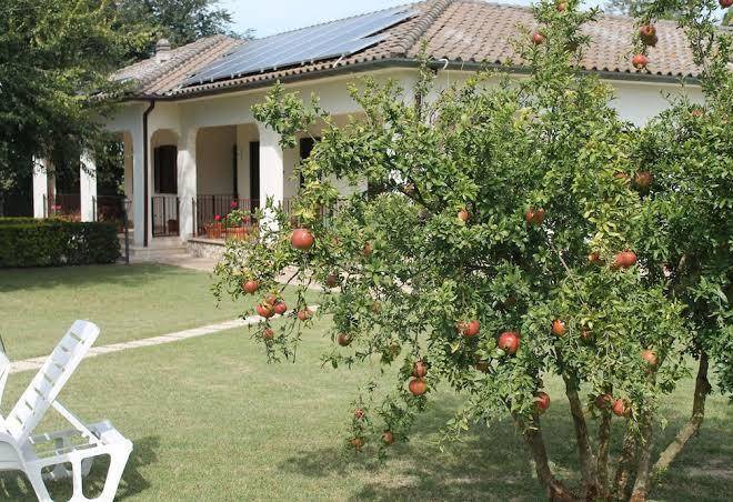 Relais la mimosa