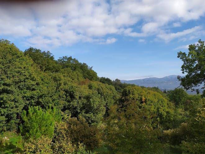 B&b il cammino