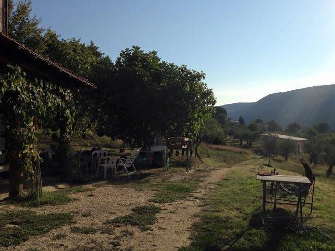 Colle paradiso azienda agricola