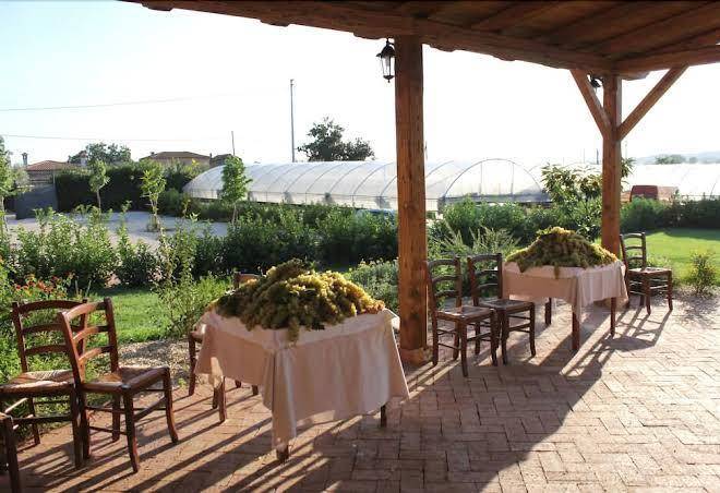 Agriturismo i sapori dei castelli romani