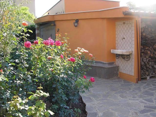 Al Vecchio Olivo Image