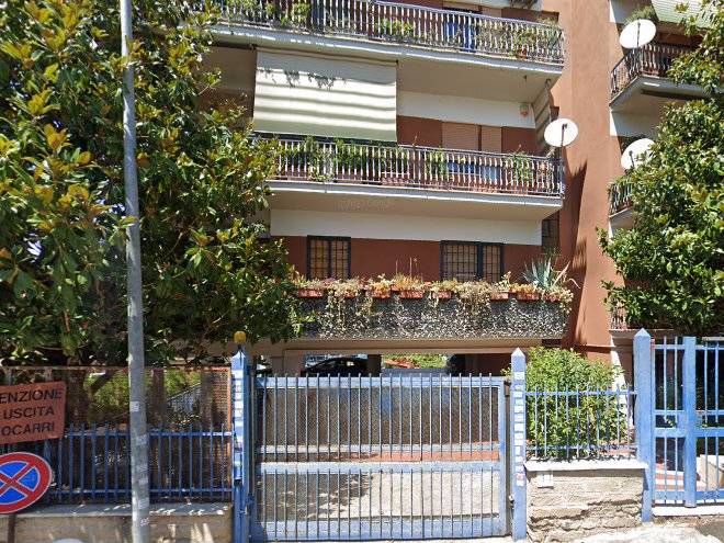 Aurelia In Blu Image