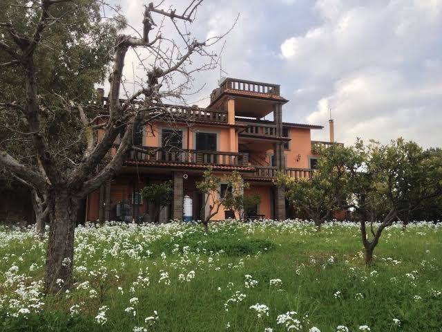 Azienda agricola colle di maggio srl