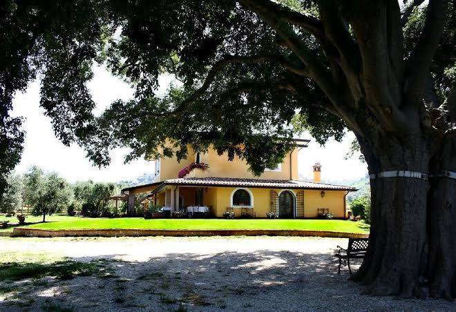 Azienda agricola il bagolaro