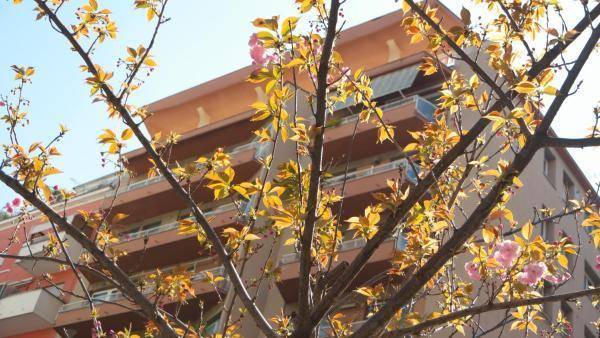 B&b La Perla Di Roma Image