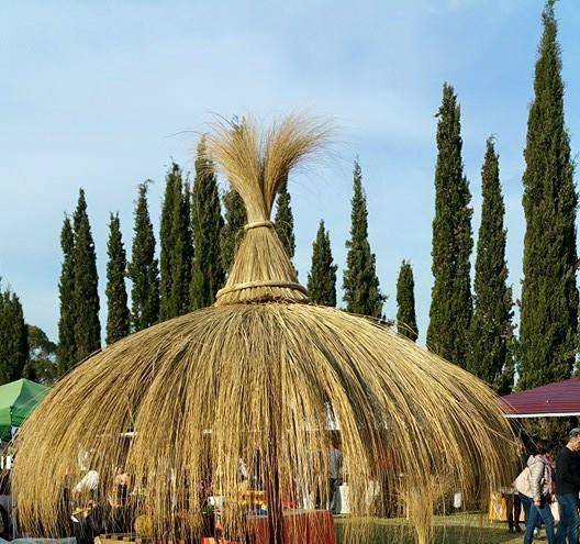 Bed and breakfast il bocciolo