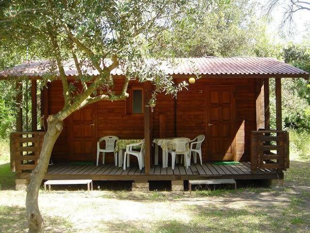 Bulgara Internazional Servizi Ood Image