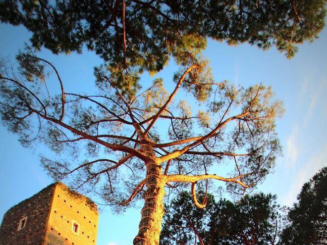 Castello della castelluccia