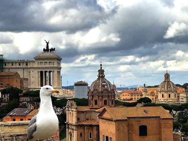 Colazione al vaticano