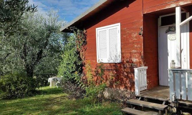 Colle Degli Ulivi Aka Olive Tree Hill B&b Image