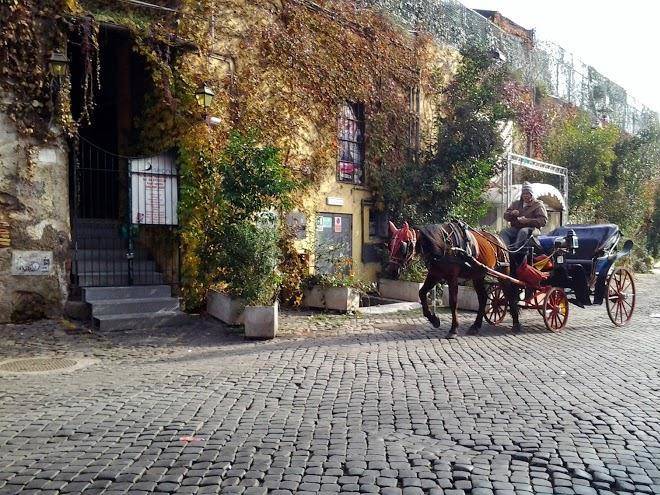 Hospitales del pellegrino trastevere